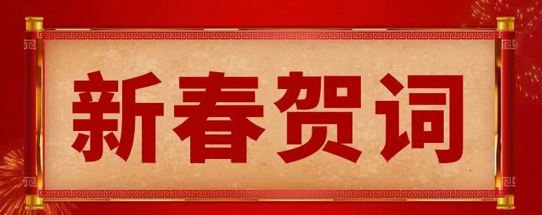 挺膺擔(dān)當(dāng)啟新程，奮楫篤行譜華章——湖南省地質(zhì)院2025年新春賀詞